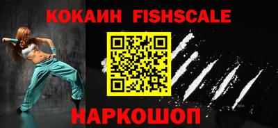 стаф Дубна